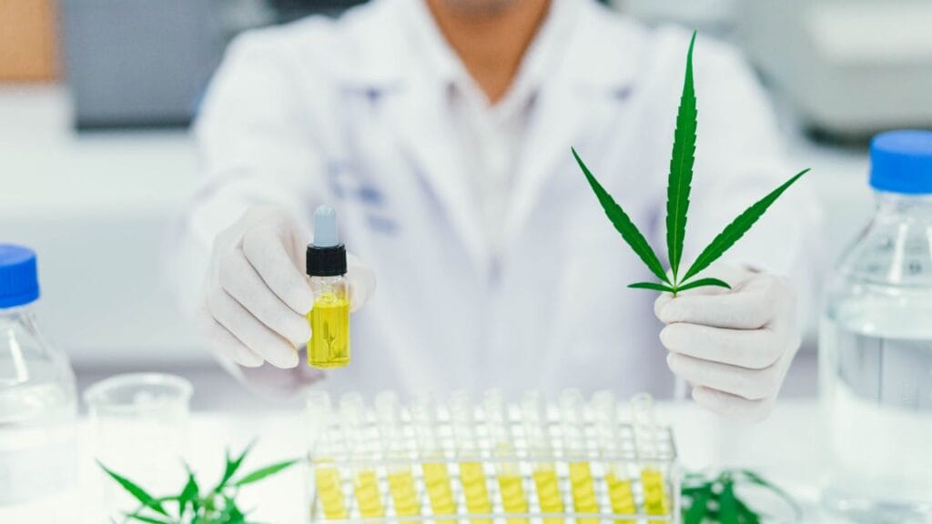Choosing-a-Medical-Marijuana-Doctor