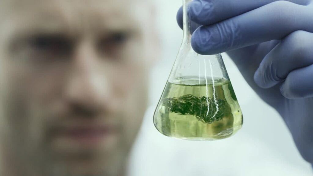 How-Medical-Marijuana-Works-for-Stress-Relief