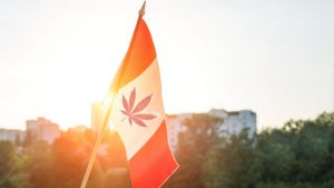 Canada-Medical-Marijuana-now-OK-to-smoke-in-public-places