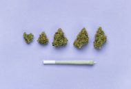 Can-I-Get-a-Medical-Marijuana-Card-for-Depression-in-Maryland